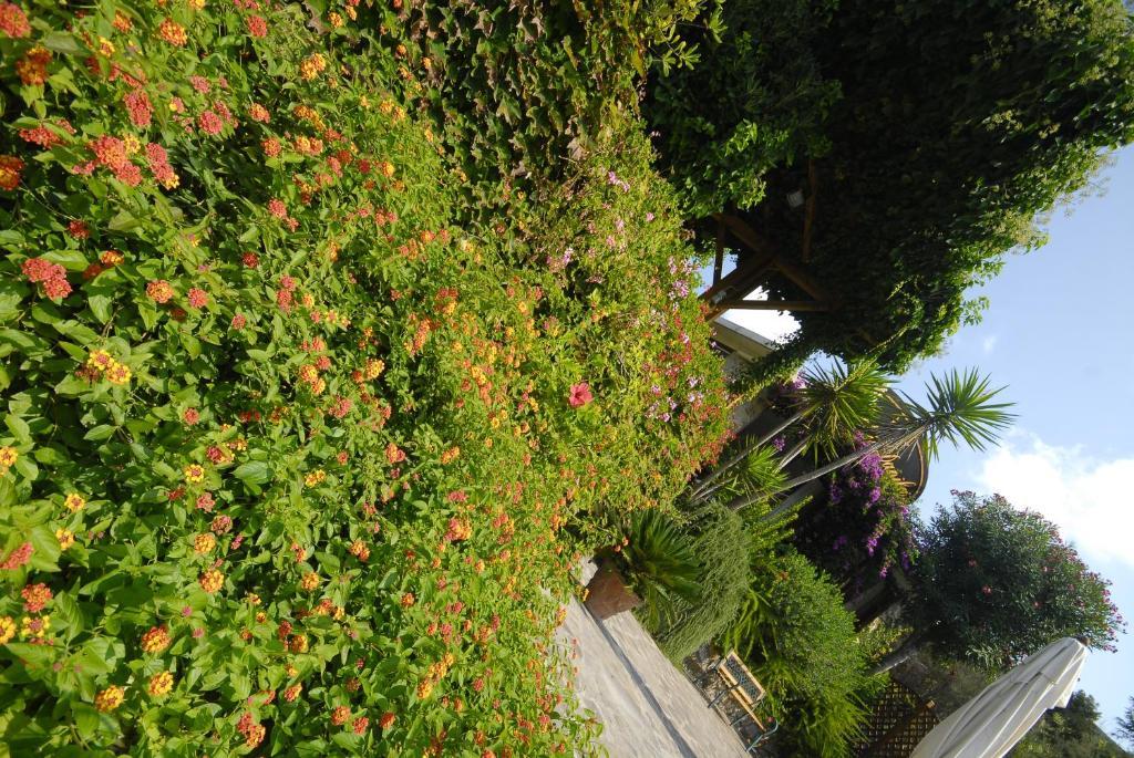 Hotel Danila Portoferraio Εξωτερικό φωτογραφία